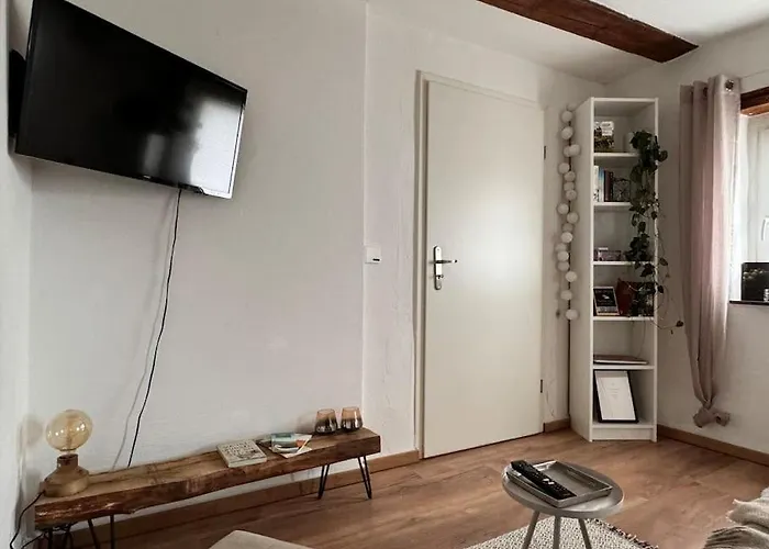 公寓 Pfaelzer Hexenhaeuschen In 埃德斯海姆